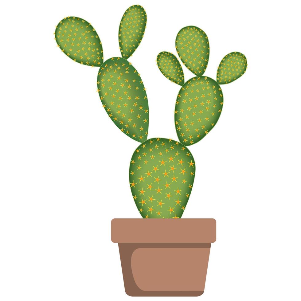 planta de casa de cactus en maceta móvil. vector