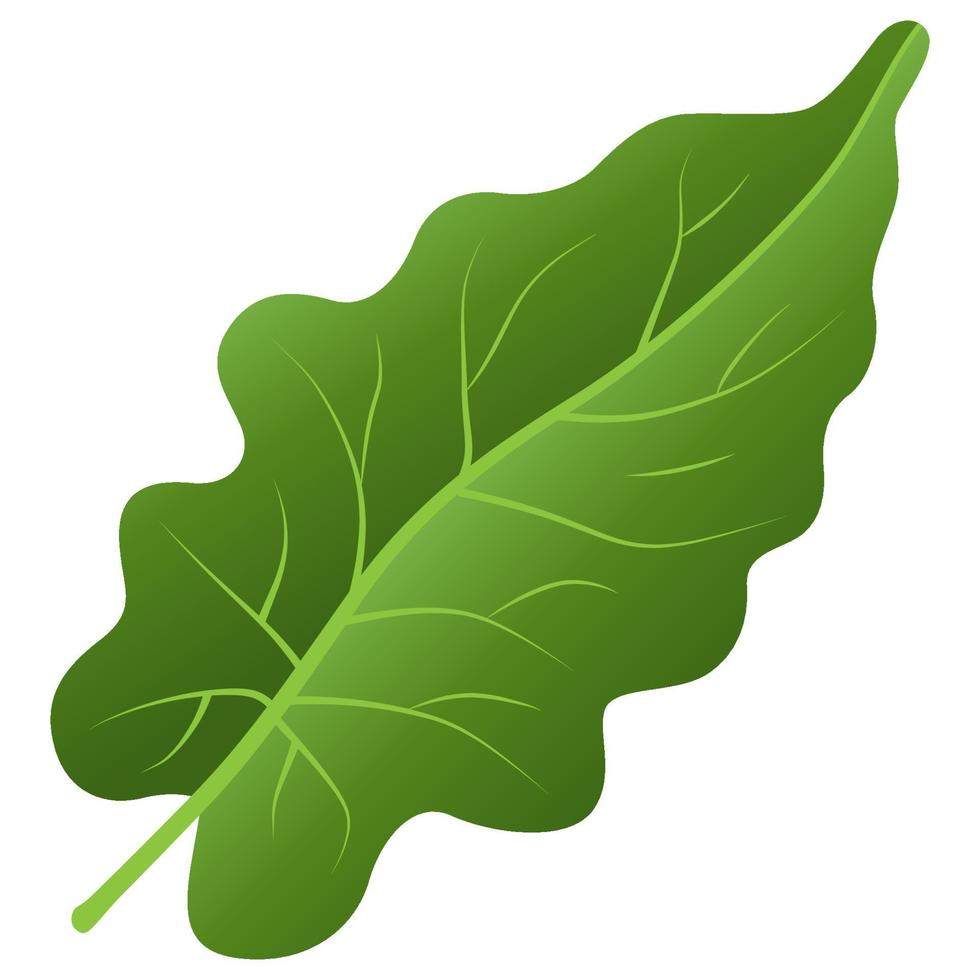 Green leaf element. vector