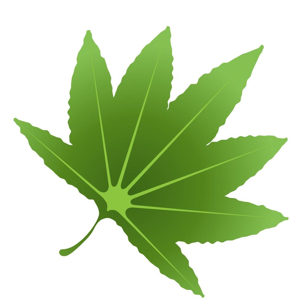 elemento de hoja verde. vector