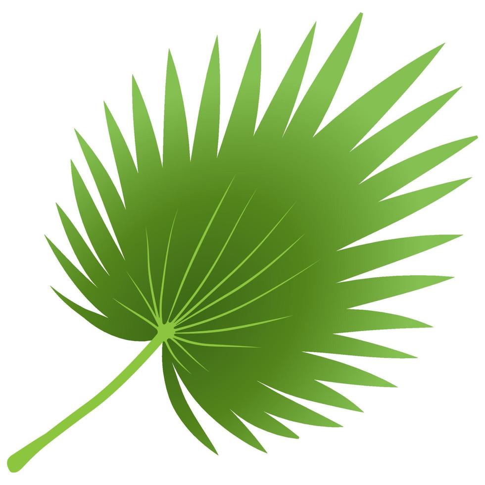 Green leaf element. vector