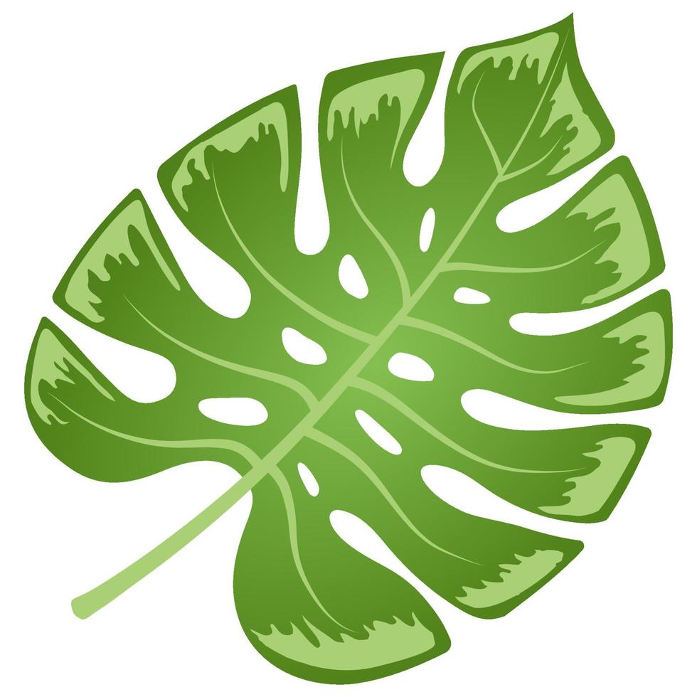 Green leaf element. vector