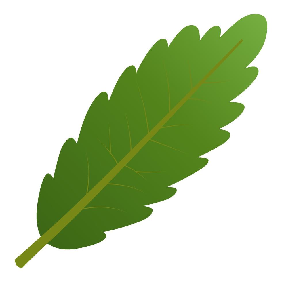 elemento de hoja verde. vector