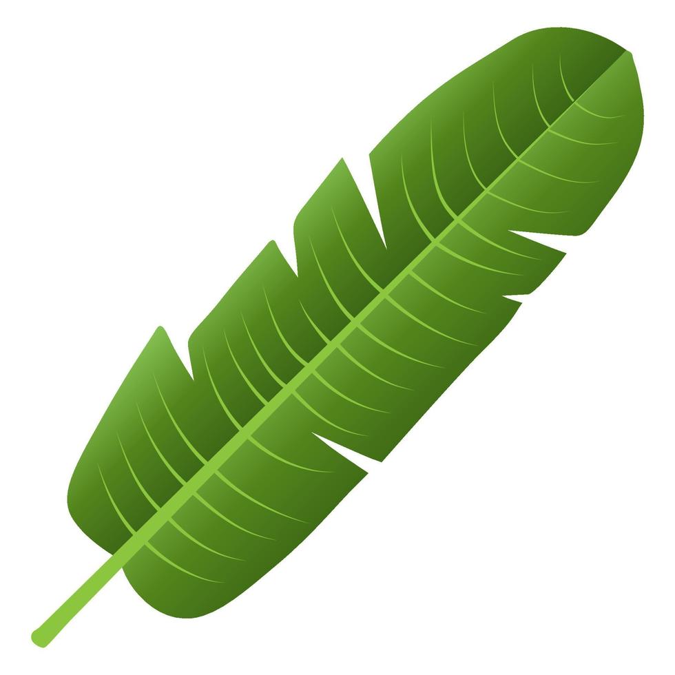 Green leaf element. vector