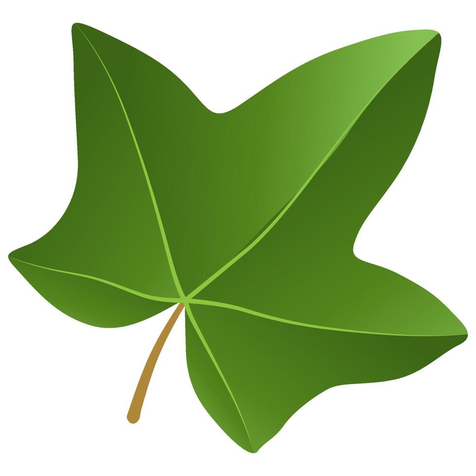 Green leaf element. vector