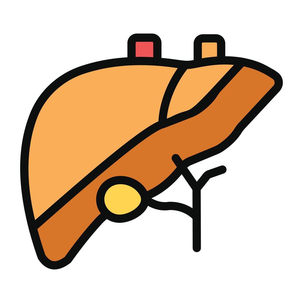 Human blood filter organ, liver icon in flat style vector