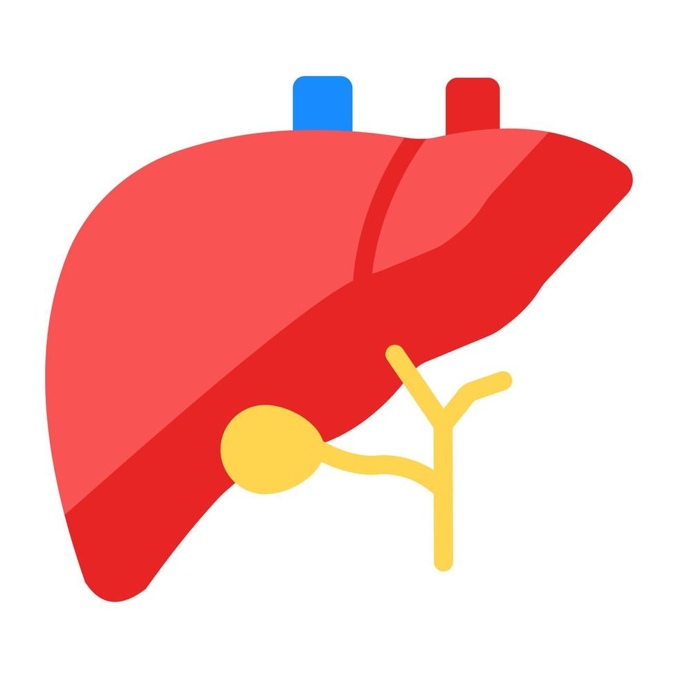órgano de filtro de sangre humana, icono de hígado en estilo plano vector