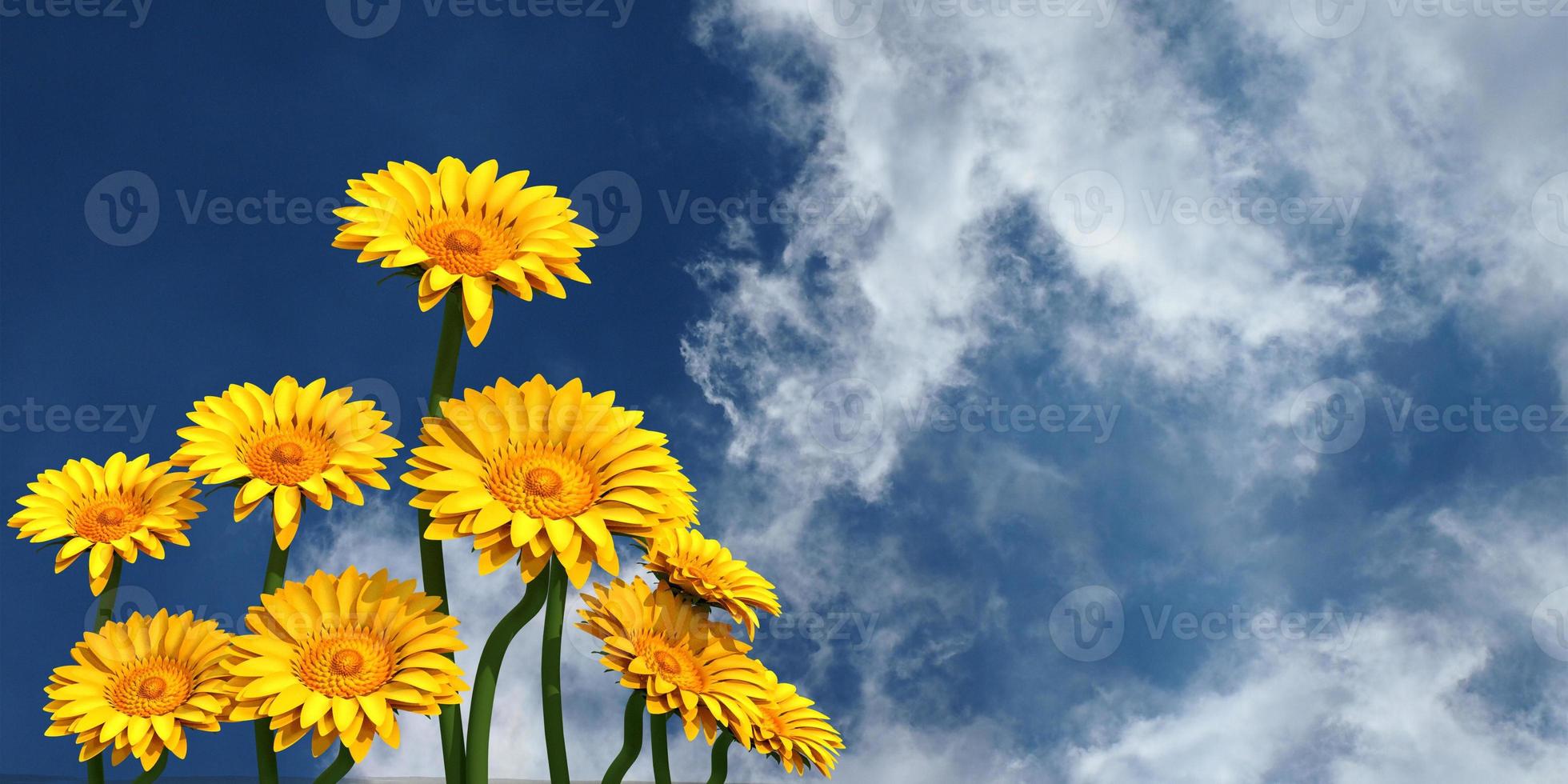 Close up tree sunflower plant leaf flora blossom field botany macro organic environment sky blue cloudy background wallpaper copy spcae decoration springtime season march summer beautiful.3d render photo