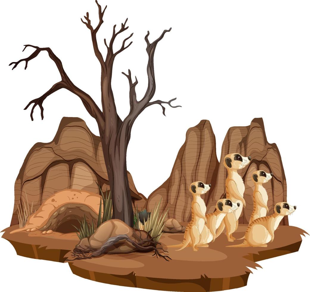 Isolated nature scene with meerkat family vector