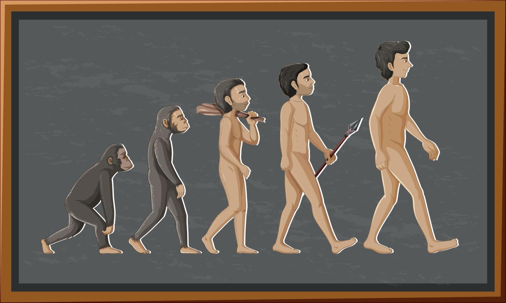 etapas del personaje de dibujos animados de la evolución humana vector