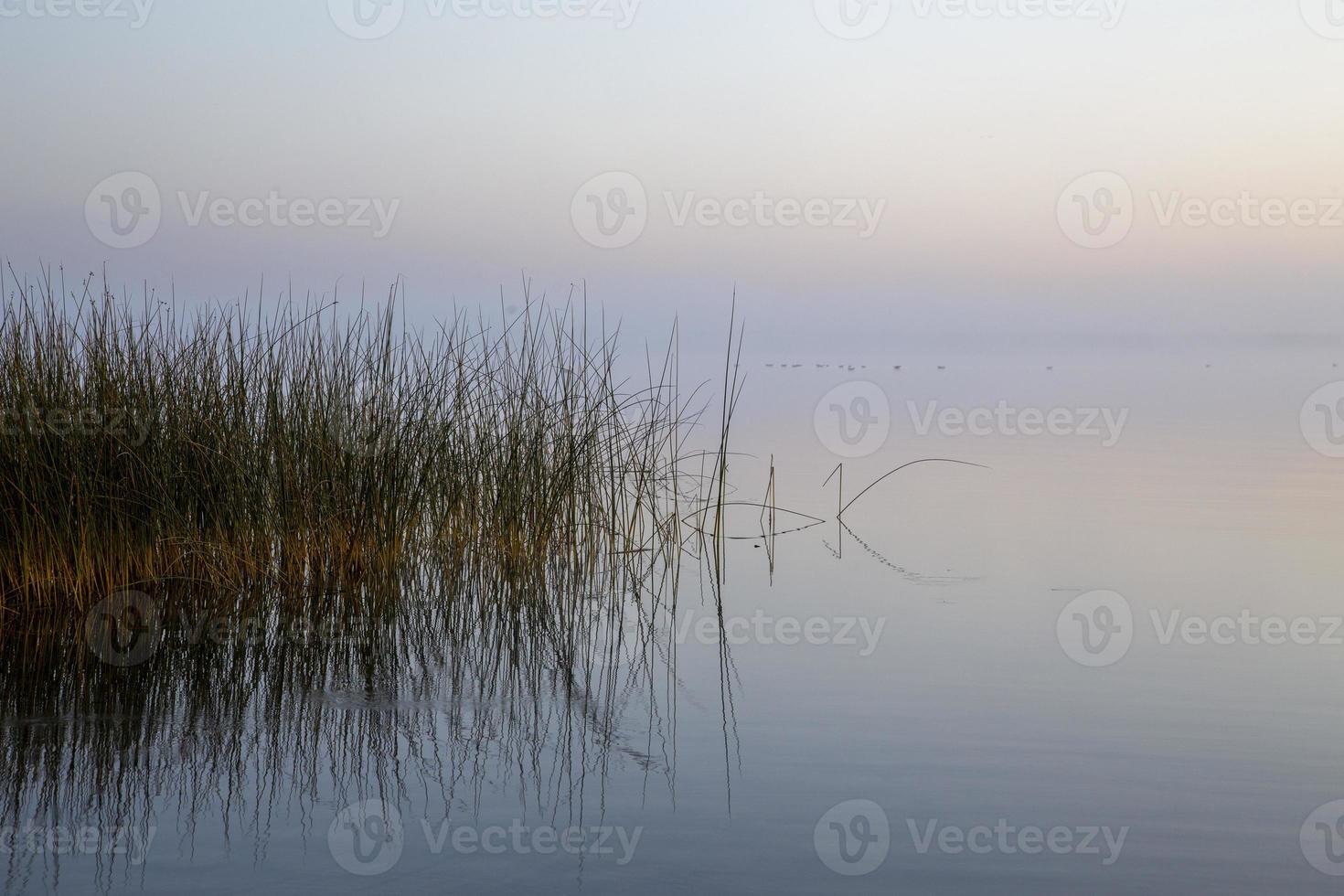 Sunrise Northern Lake Dock photo