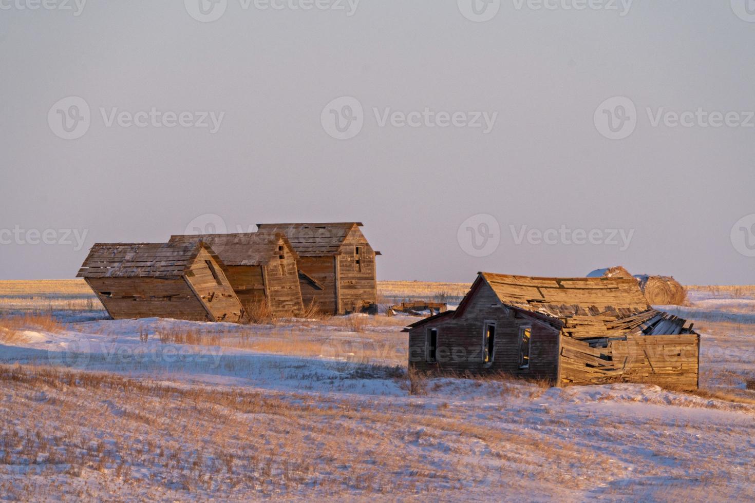 escena de invierno de la pradera foto