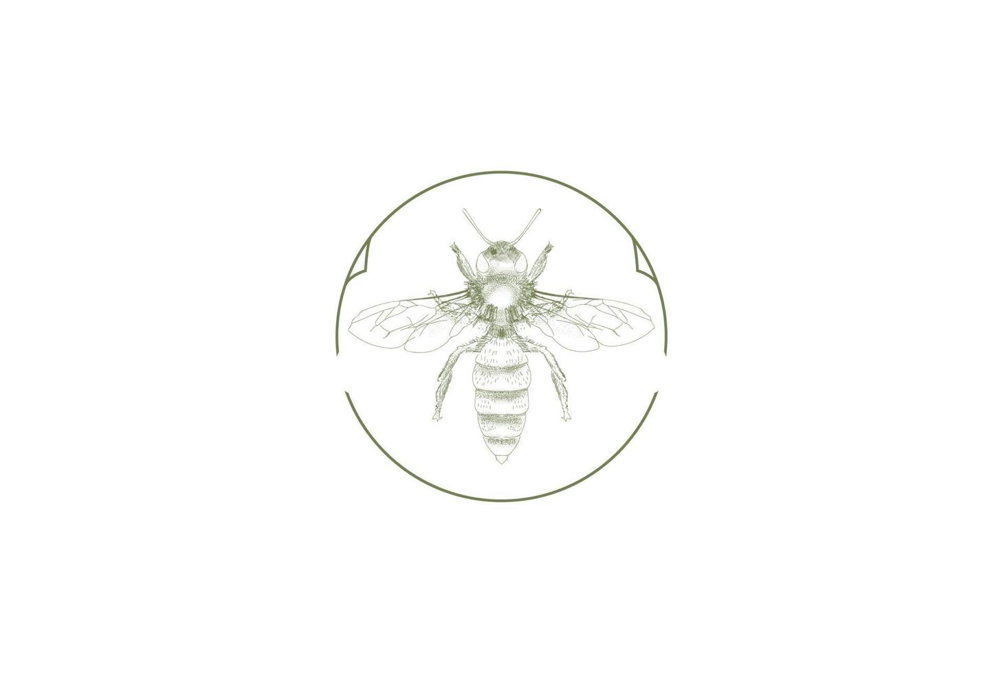 abeja retro vintage para vector de diseño de logotipo de etiqueta de producto de granja de miel