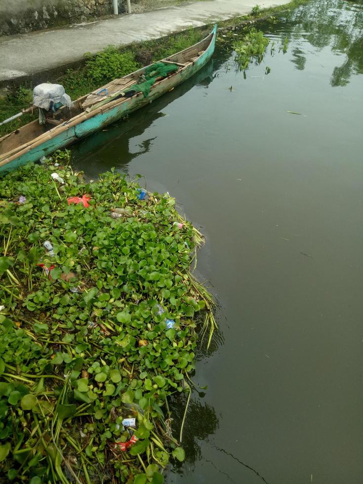 water hyacinth caught at the foot of the bridge in Tualango village photo