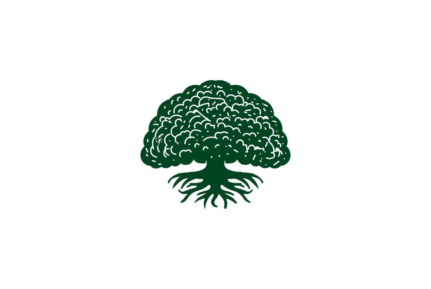 Simple Minimalist Maple Oak Banyan Tree Forest Garden Logo Design vector