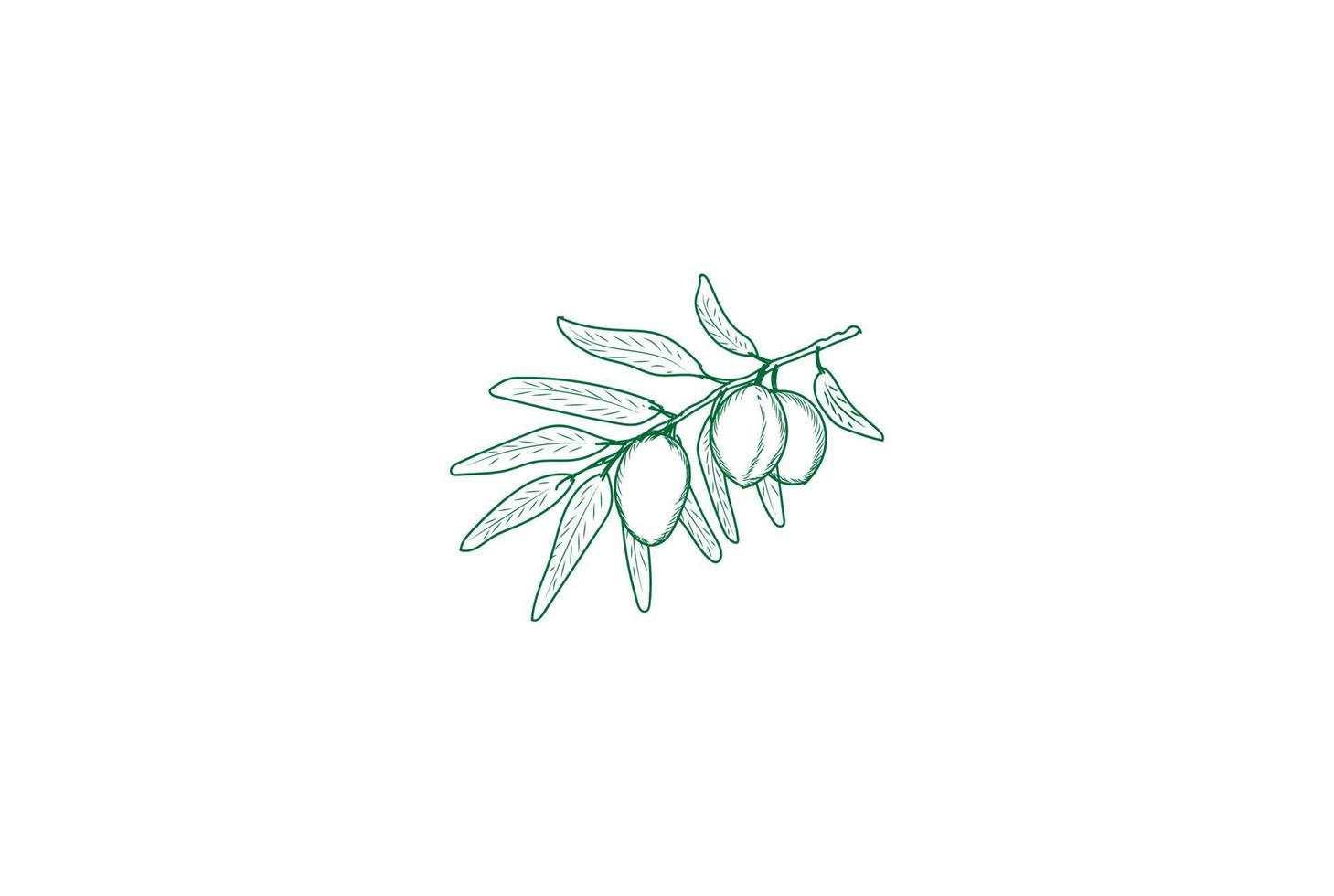 vector de diseño de logotipo de naturaleza de fruta de aceite de oliva retro vintage
