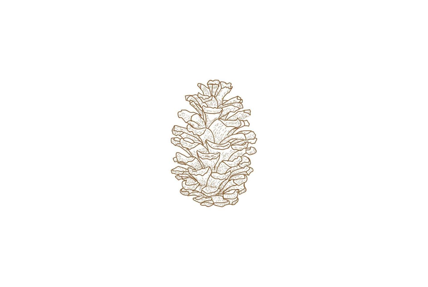 Rustic Hand Drawn Pine Cone Logo Design Vector