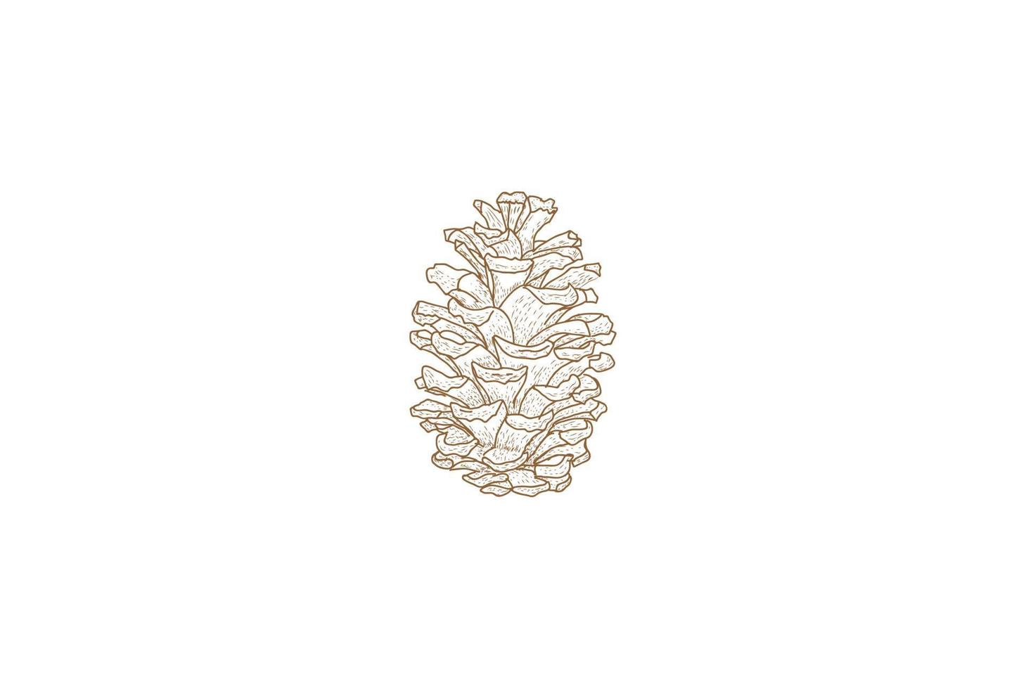 Rustic Hand Drawn Pine Cone Logo Design Vector