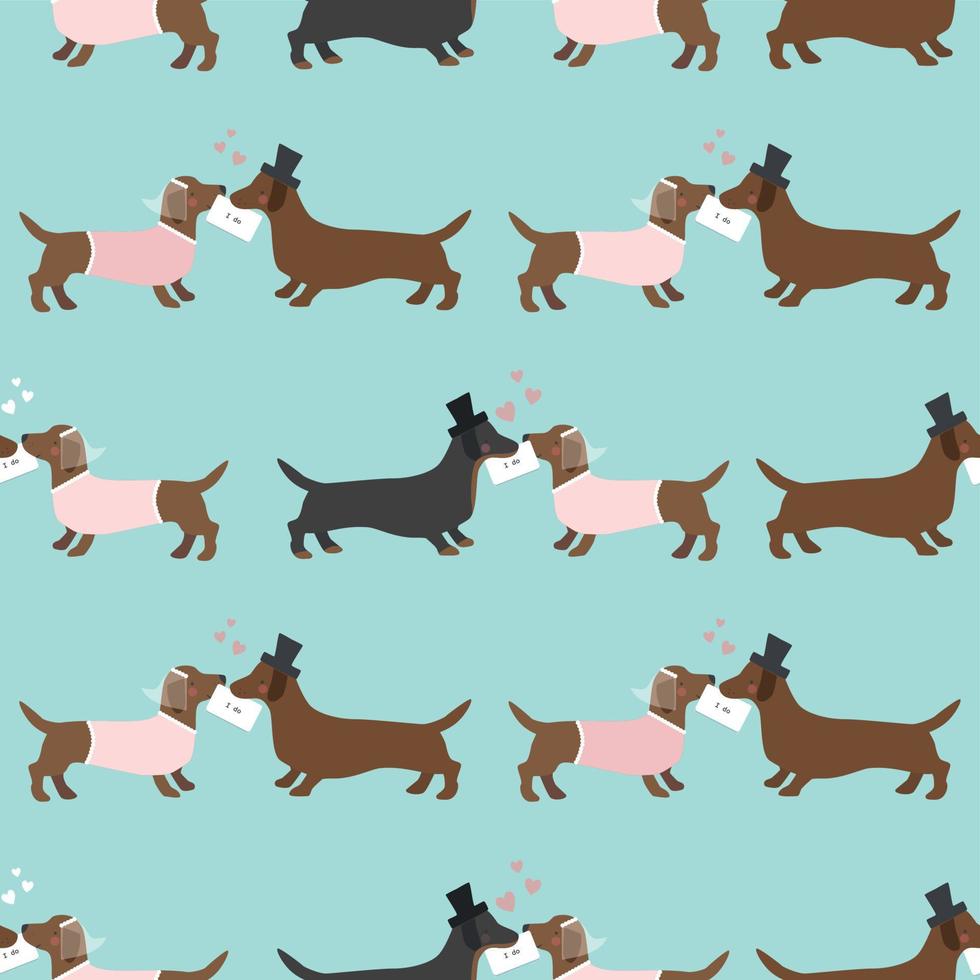 Seamless wedding pattern with dachshund groom and bride on blue background vector