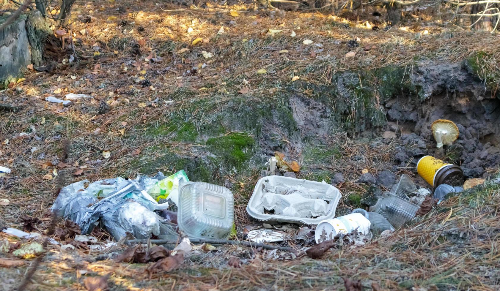 Garbage dump in the forest, pollution of nature. People illegally threw garbage into the forest. The concept of man and nature. Dirty environment polluting garbage near the hiking trail in the forest. photo