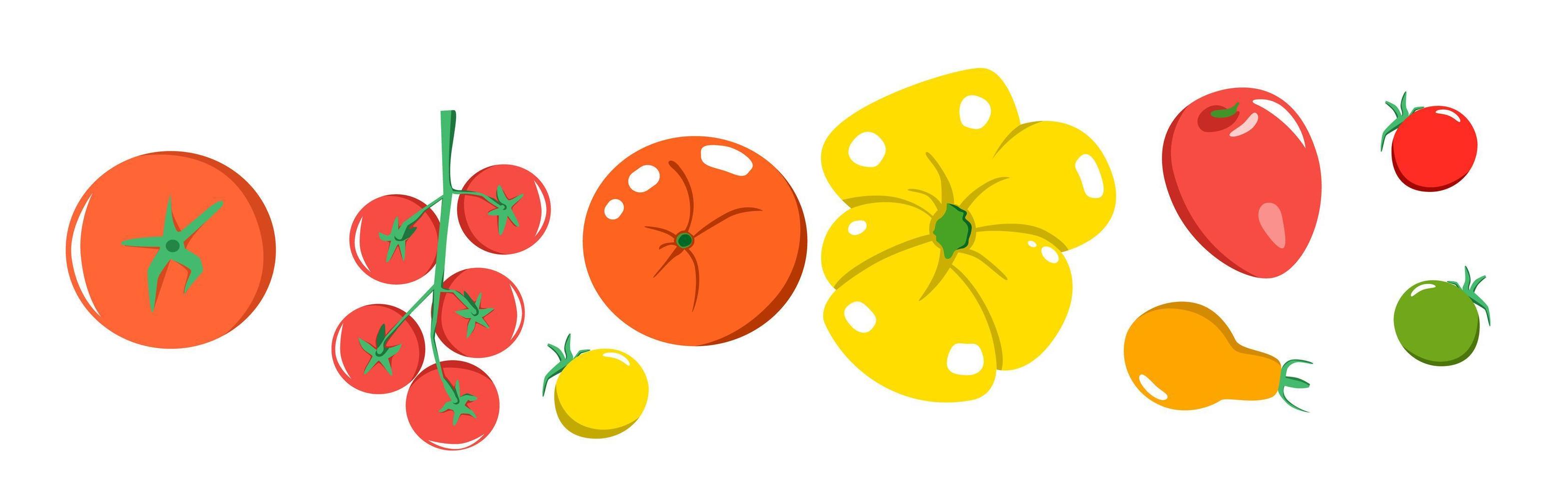 A bright vector set of colorful pomodors.