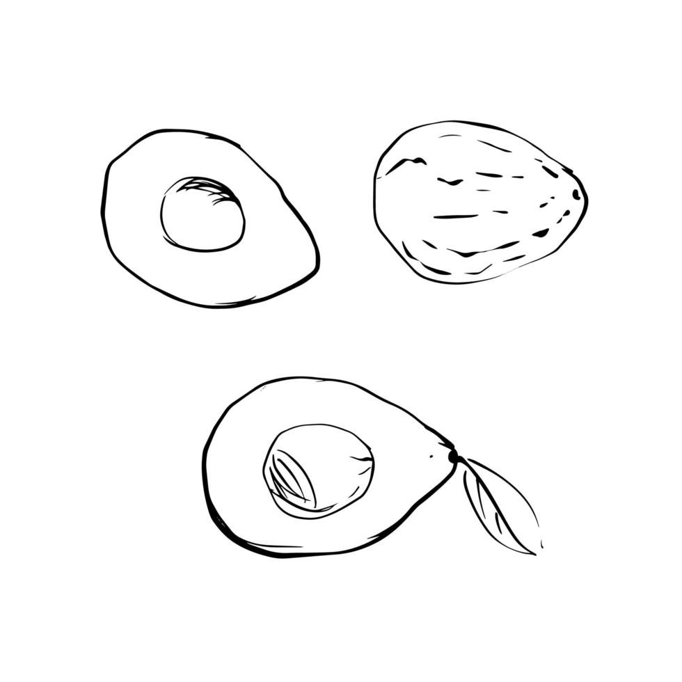 Vector illustration of an avocado on a white isolated background. Shop sketch, banner, menu, and logo. Black and white outline.