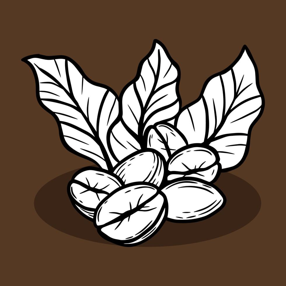 Branch of coffee with beans and leaf hand drawn for Shop Cafe Restaurants illustration vector