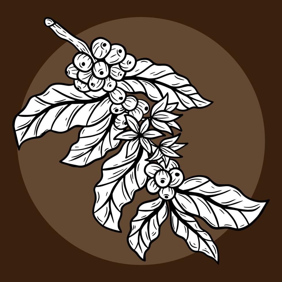 Branch of coffee with beans and leaf hand drawn for Shop Cafe Restaurants illustration vector