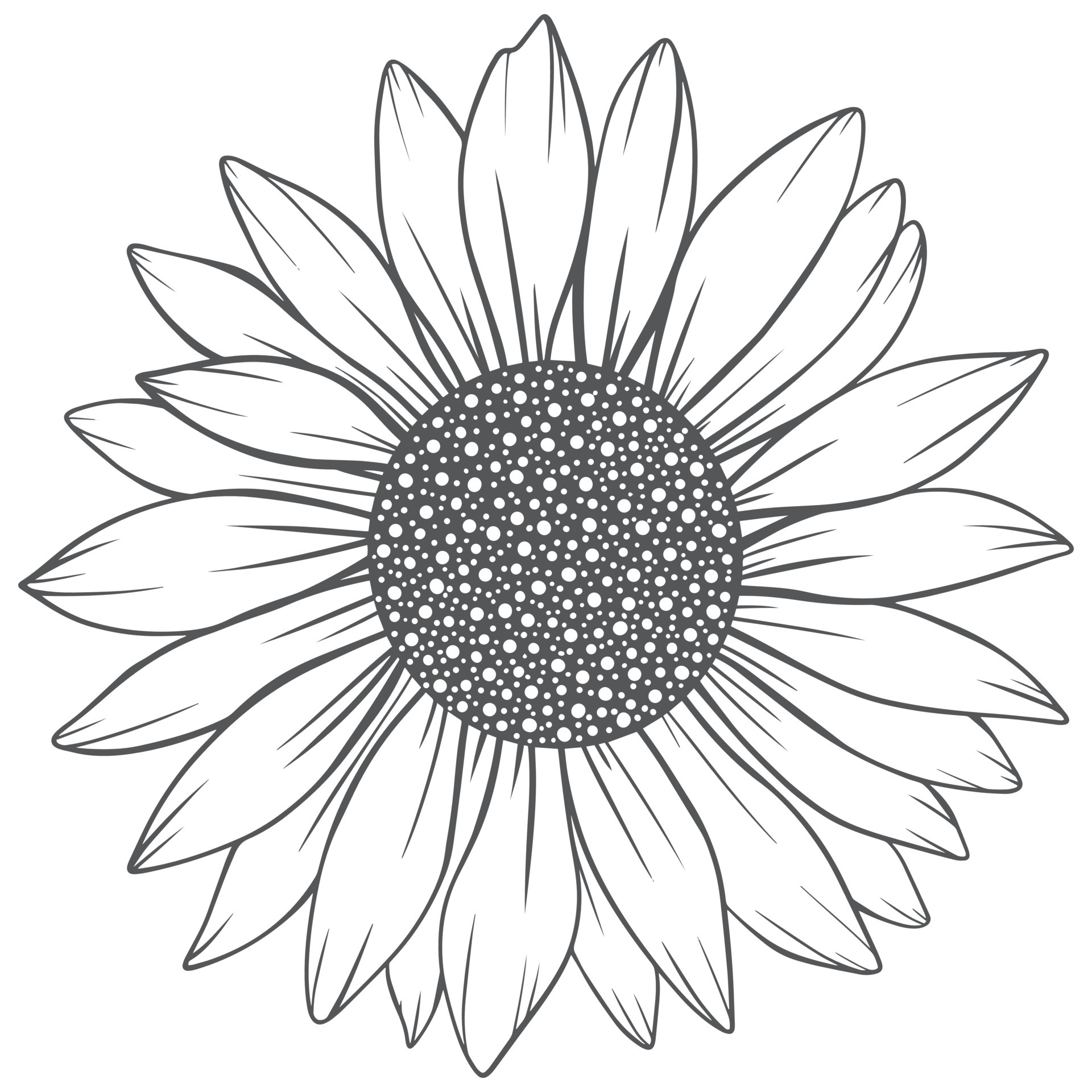 Sunflower outline 