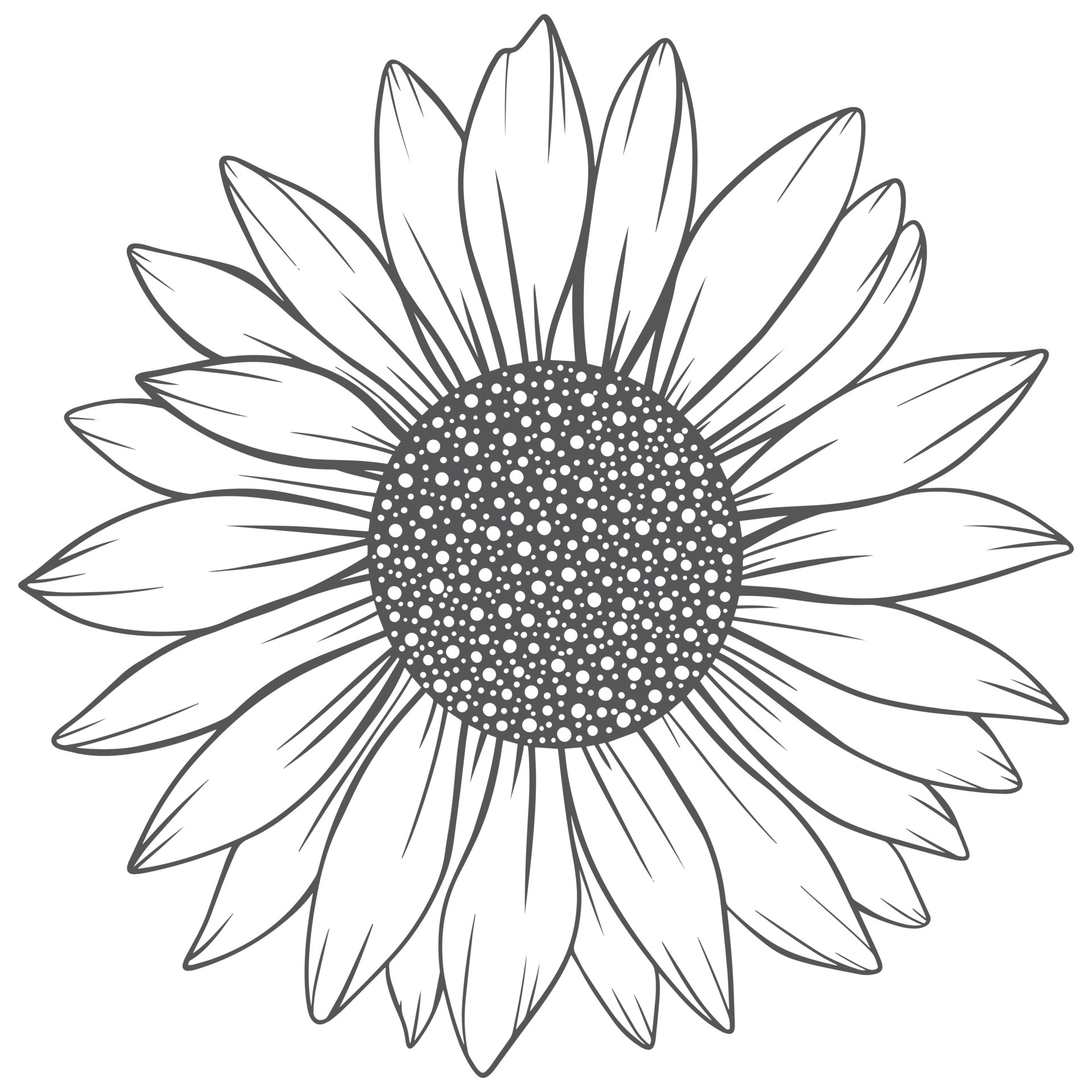 Sunflower Line Art
 sunflower line art sunflower line drawing floral line drawing