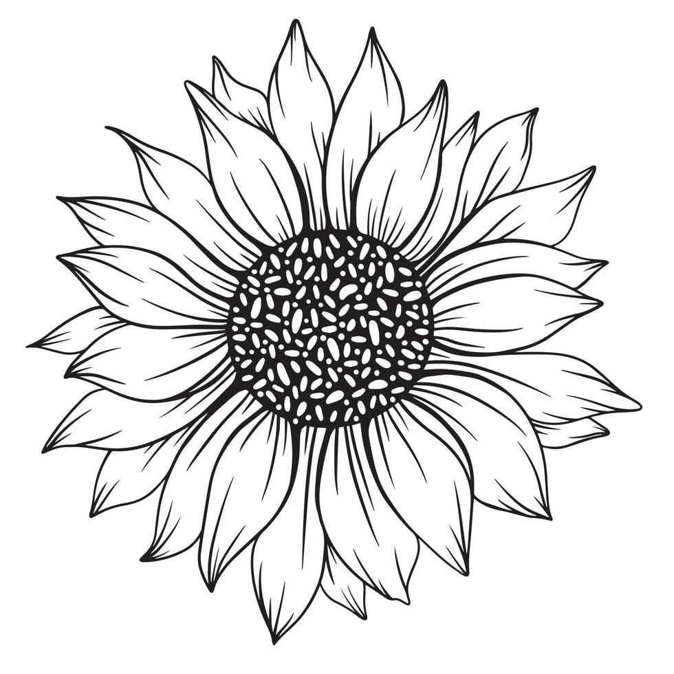 arte de línea de girasol, dibujo de línea de girasol, dibujo de línea floral, contorno de girasol vector