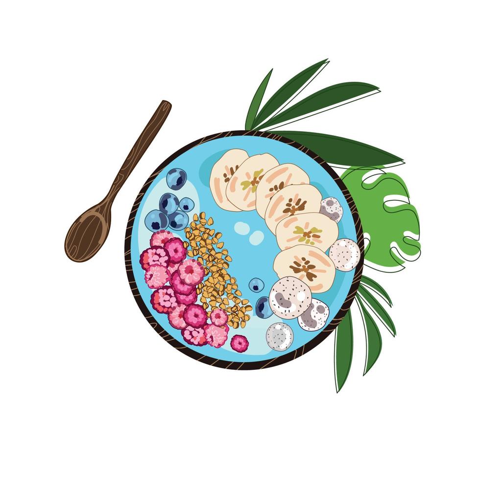 Healthy smoothie bowl,blue smoothie spirulina bowl,with banana blueberries, raspberries,dragon fruit,blueberries and nuts.Realistic cartoon hand drawing, Healthy vegan food.Vector illustration vector