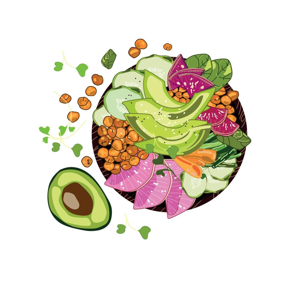 Vegan detox Buddha bowl with chickpeas, avocado, radishes, carrots, herbs and sesame seeds drawn in realistic cartoon style on a white background.Vector food illustration top view.Healthy food concept vector