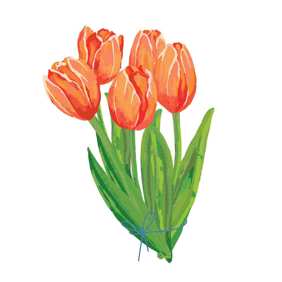 Tulips bouquet. watercolor spring holland flowers for international woman day 8 march, mother and victory day greeting card vector isolated on white