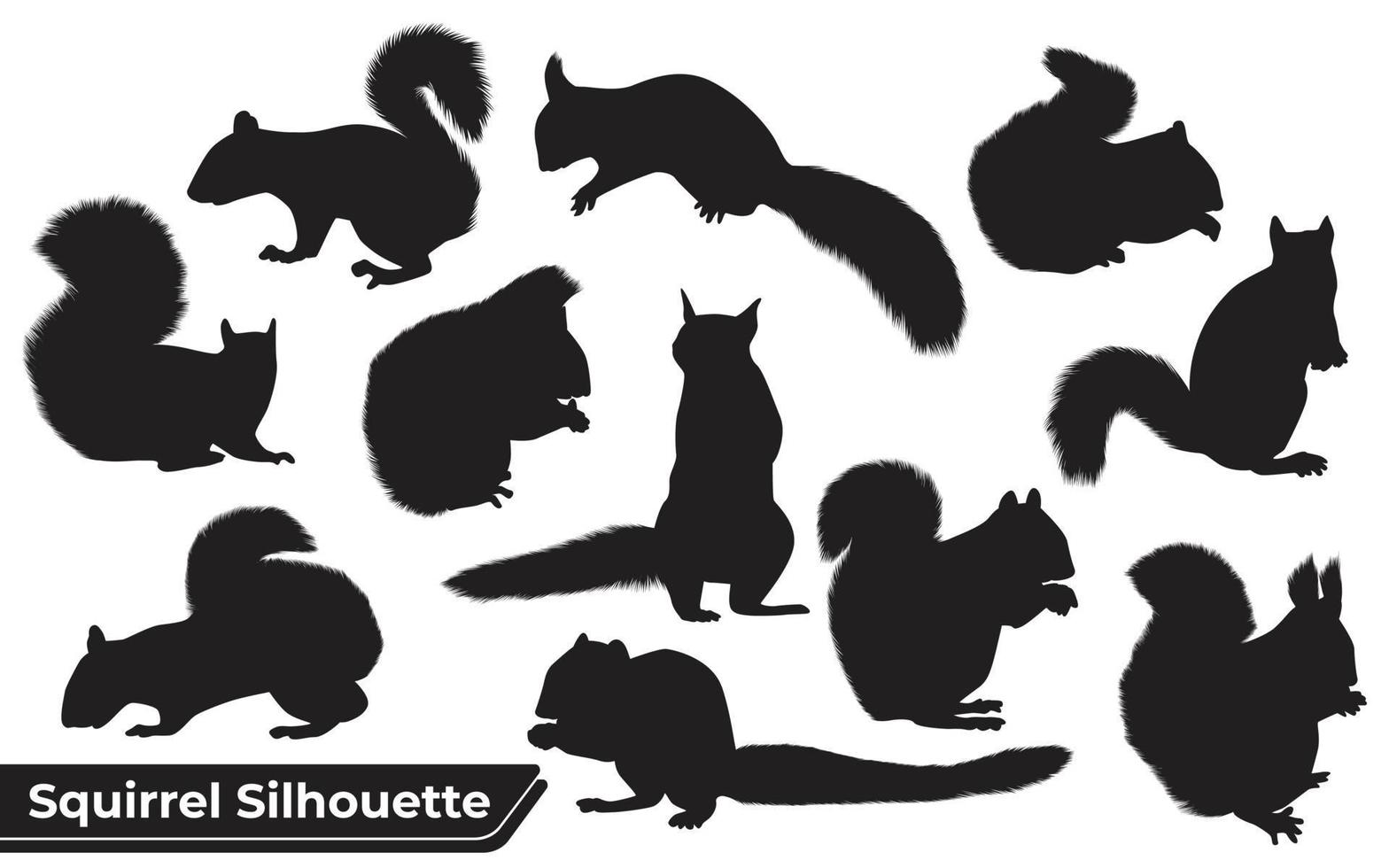 Collection of Animal Squirrel Silhouette vector