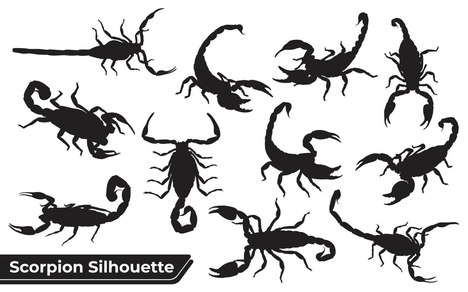 colección de vector de silueta de escorpión animal