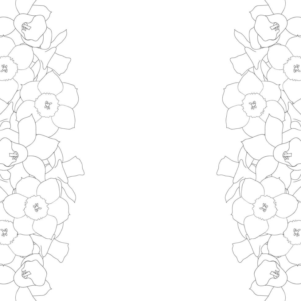 Daffodill - Narcissus Outline Border on White Background vector