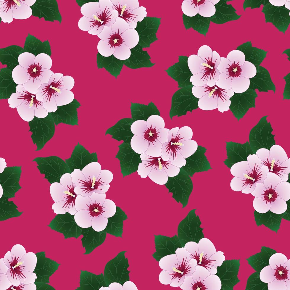 Hibiscus syriacus - Rose of Sharon on Pink Background vector