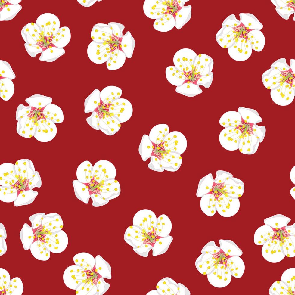 White Plum Blossom Flower Seamless on Red Background. vector