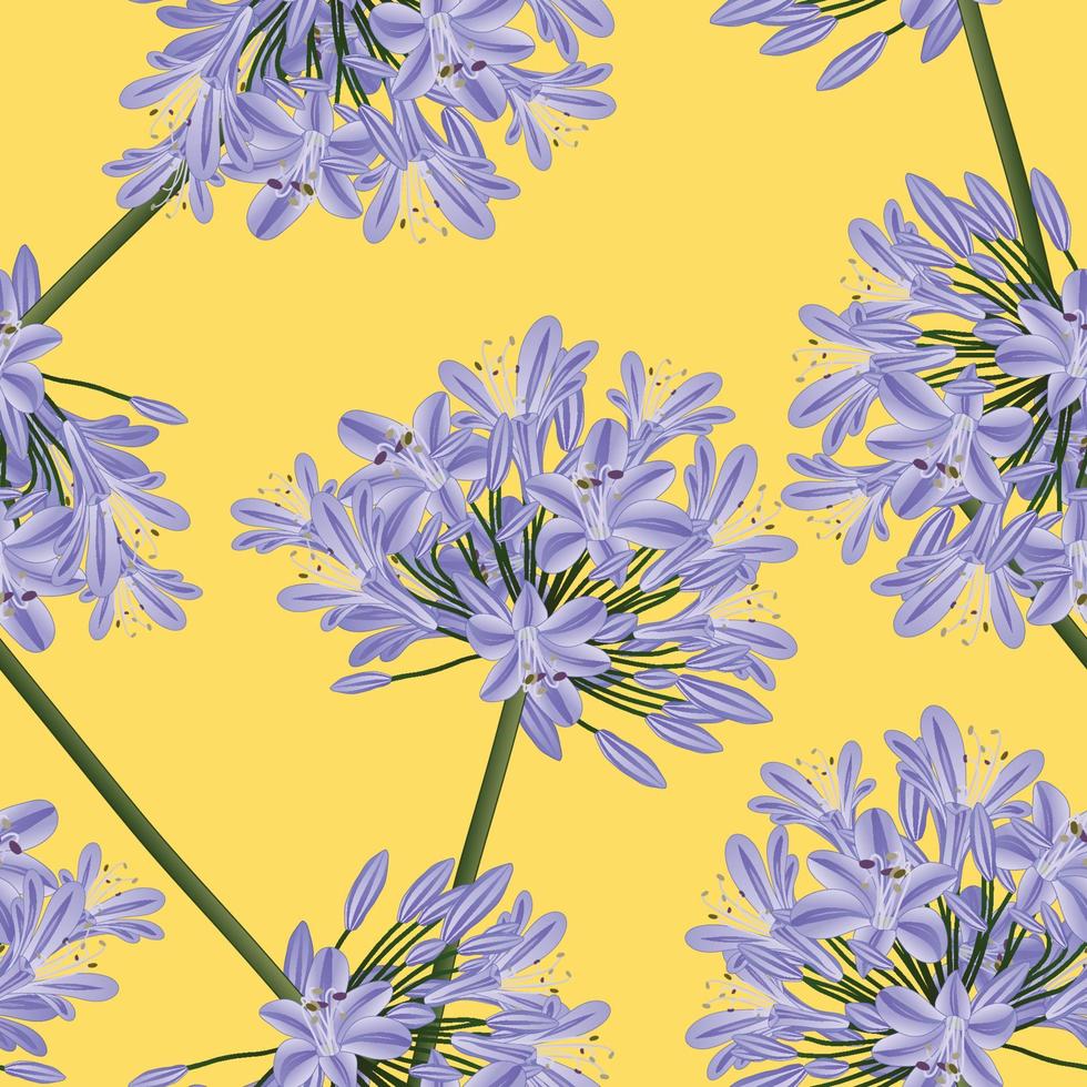 Blue Purple Agapanthus on Yellow Background. Vector Illustration