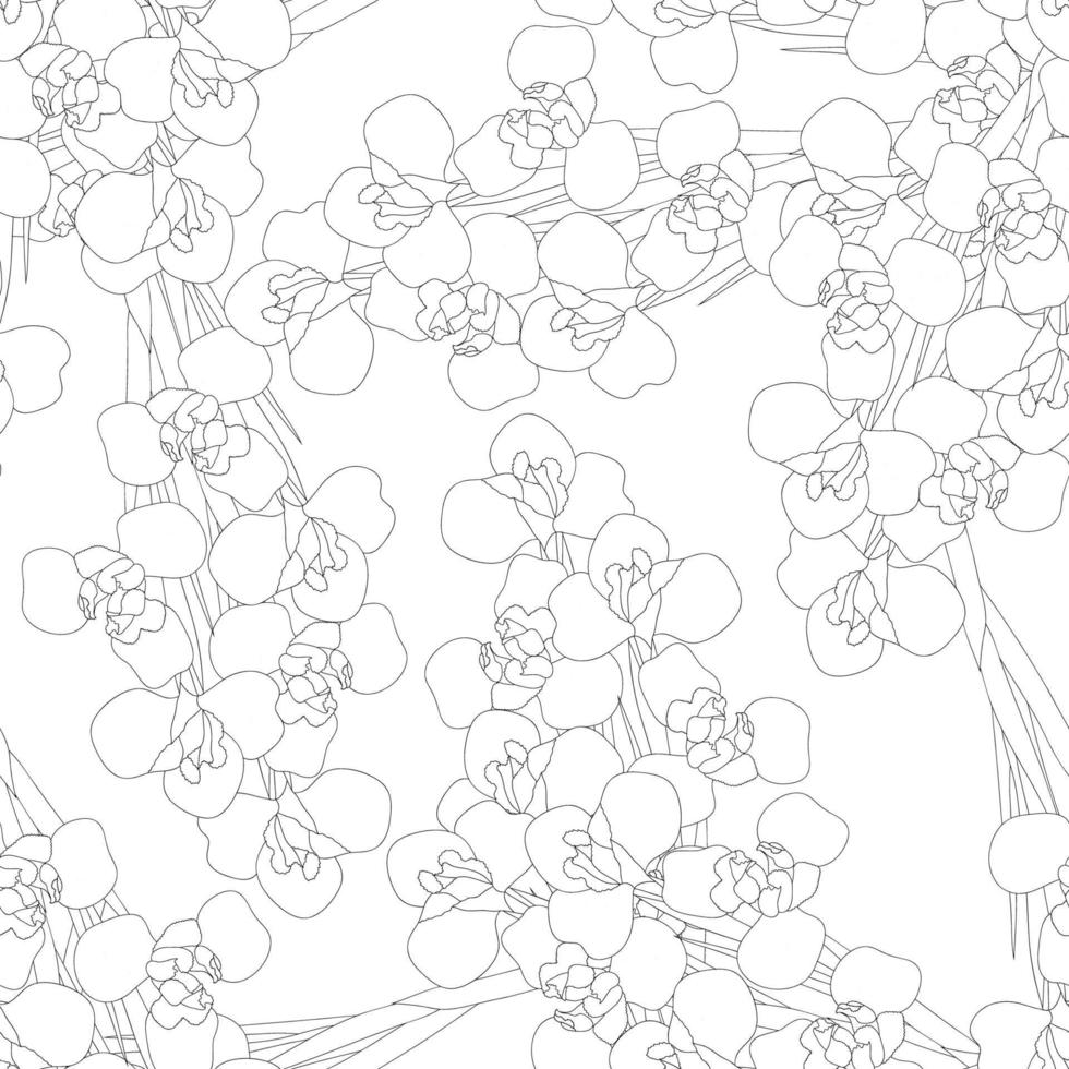 Iris Flower on White Background vector