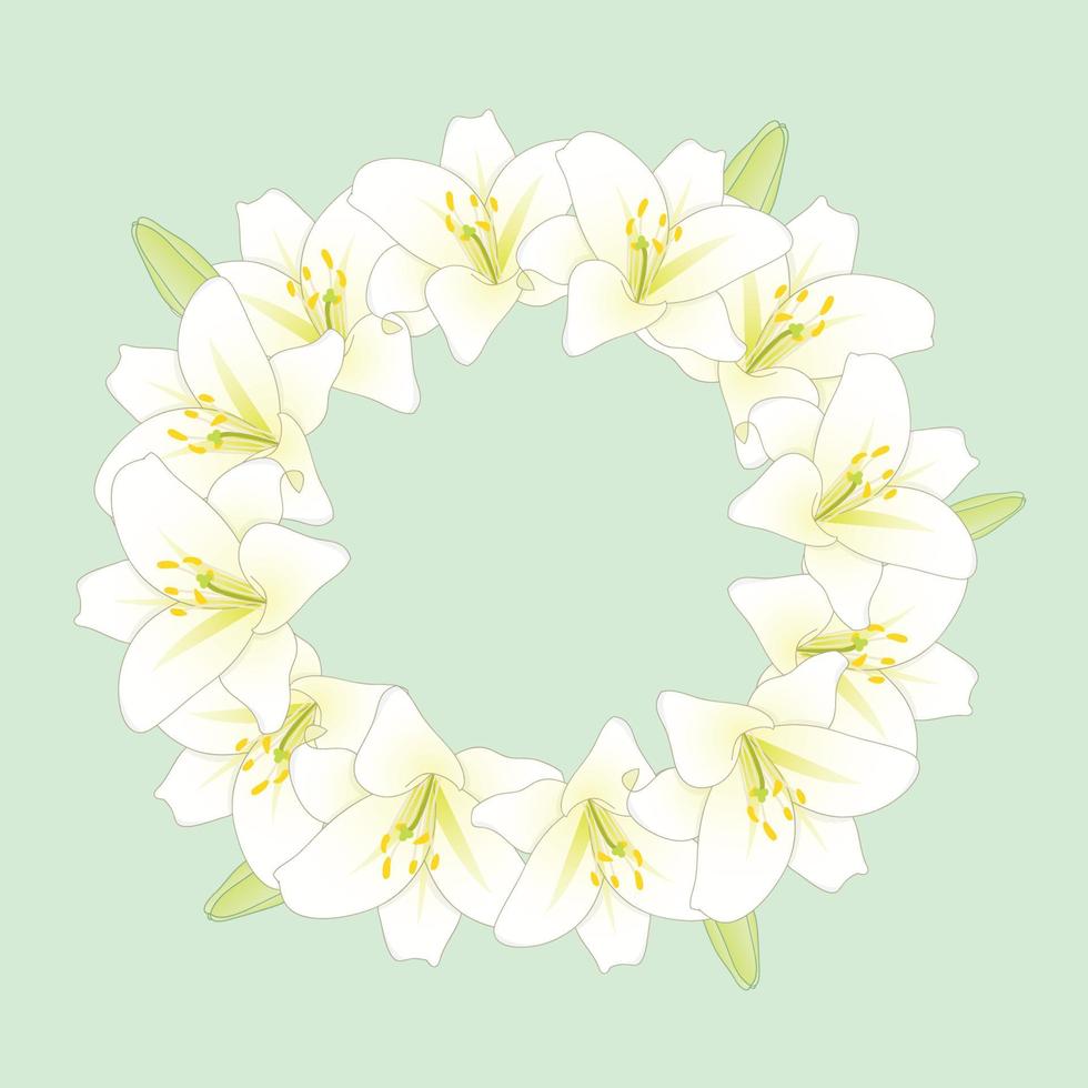 White Lily Flower Wreath on Green Mint Background vector