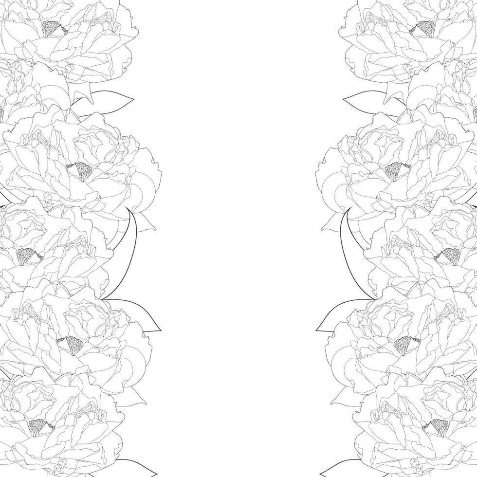 Peony Flower Border vector