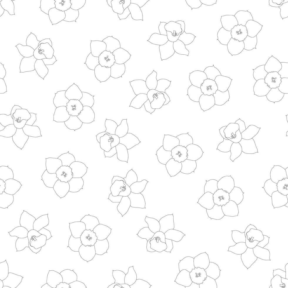 narciso - contorno de flor de narciso sobre fondo blanco vector
