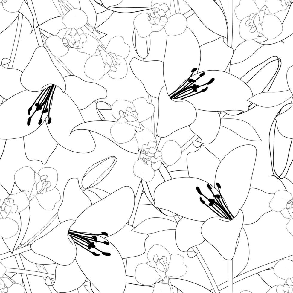 contorno de flor de lirio e iris sobre fondo blanco vector