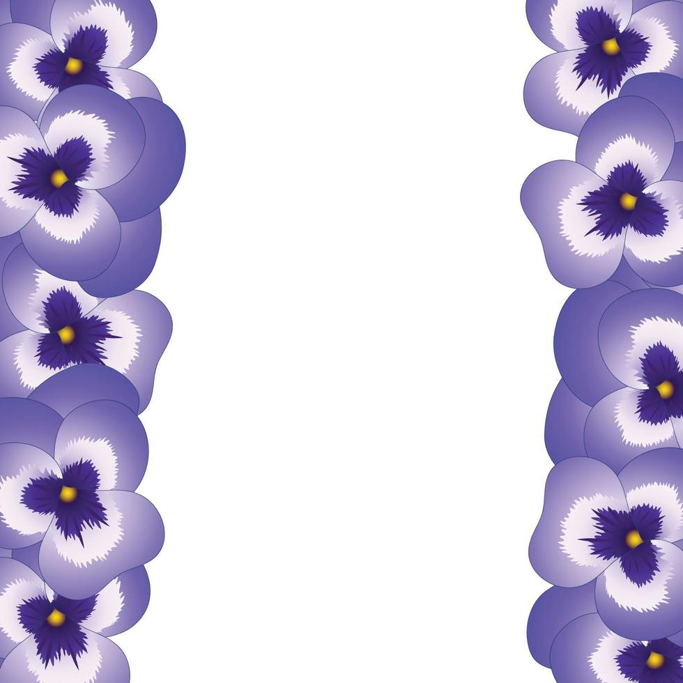 Violet Pansy Flower Border vector