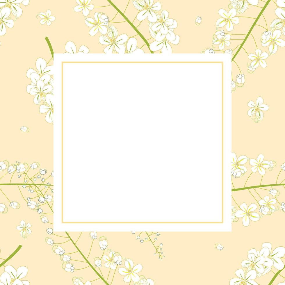 White Cassia Fistula - Golden Shower Flower on Yellow Banner Card vector