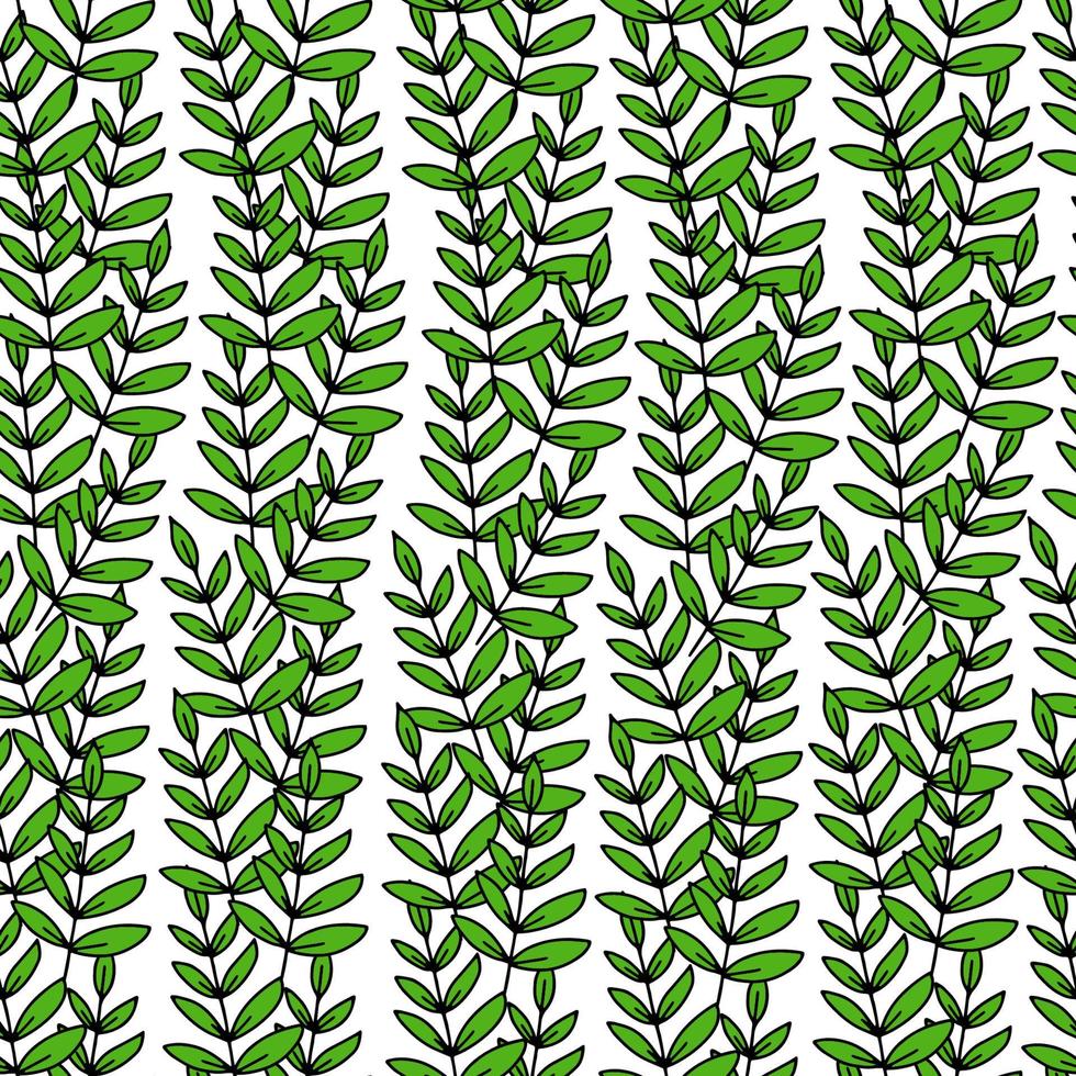 Branch with leaves seamless pattern on a white background.Green leaf.Spring and summer leaves.Printing on textiles.Vector vector