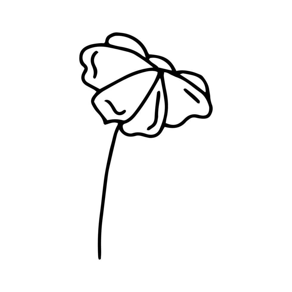 Flower hand drawn drawing line isolated on white background.Black and white image.Flora and fauna.Floral design.Doodles.Vector vector