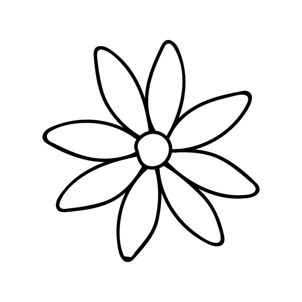 Daisy, camomile Doodle illustration.Black and white image.Contour drawing.Flower image.Isolated flower on a white background.Simple drawing.Vector vector