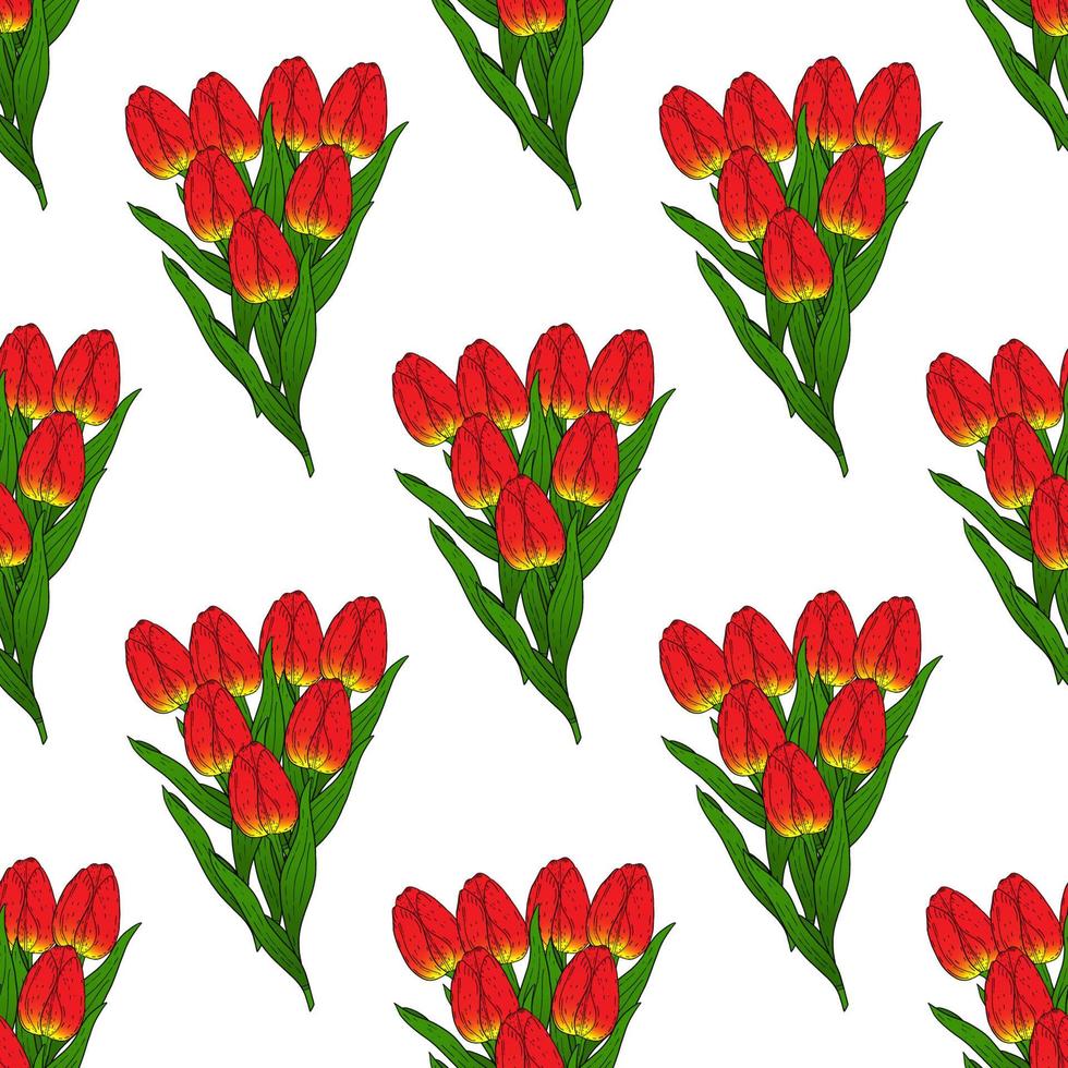 Seamless pattern with red tulips.Bouquet of red tulips on a white background.Bouquet for the holiday on March 8.International women day.Birthday.Spring flowers.Vector vector